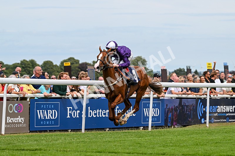 050725-Race 1-Vincenzo Peruggia-6980 - Race 1