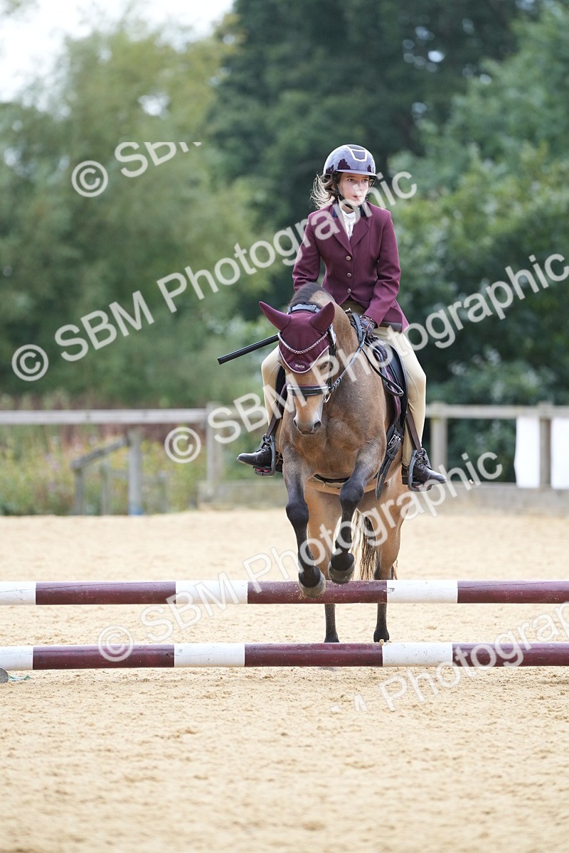 SBM_74824 - J4 - Mini Tour Junior Pony 45cm Championship