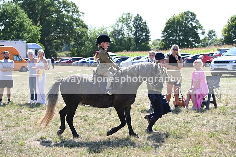 WJ6_7796 - Class 36 Lead Rein