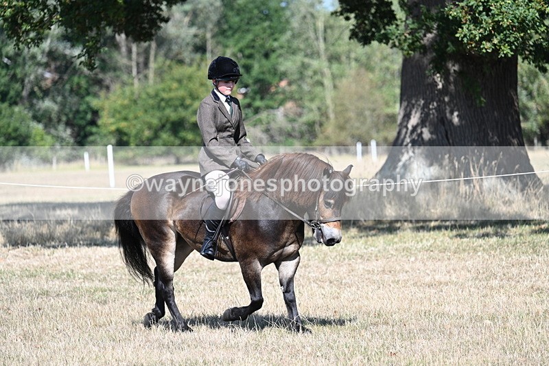 WJ7_3959 - Class 9 Mountain & Moorland Ridden