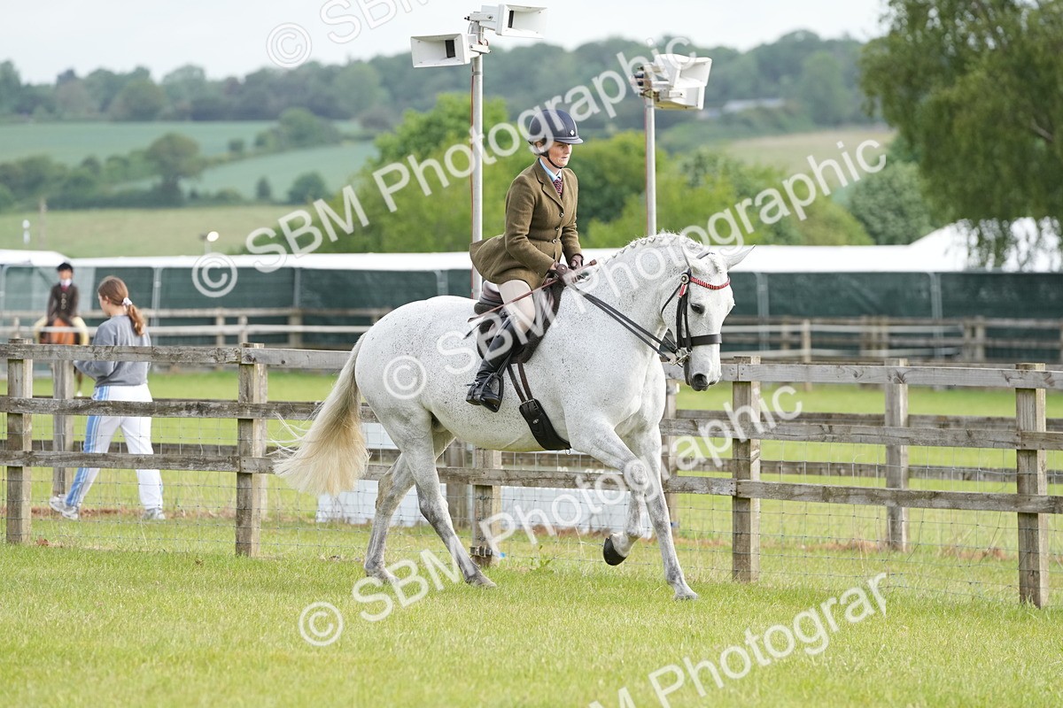 SBM_10577 - Class 97-98 - LIHS BSHA Rising Star Working Show Horse Hunter