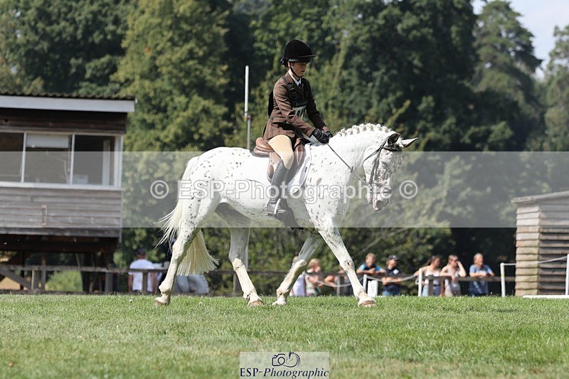 250823A-131839-31276 - Arena D