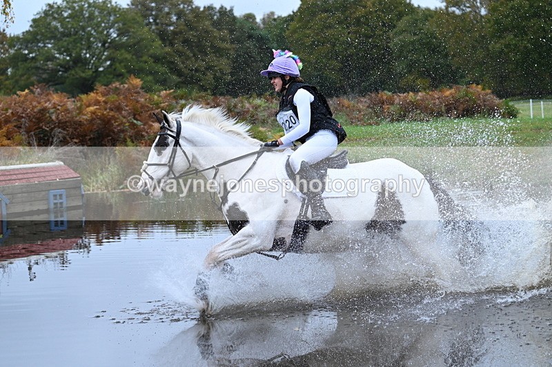 WJ7_2943 - 90cm Cam 2 Water Time 13:29 to 13:47