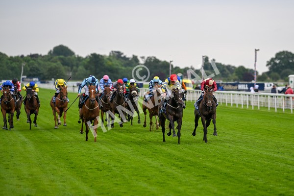 120724-Race 4-Karmology-6113 - Race 4 3.50pm Azets Handicap