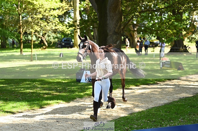 230524-151932-00206 - 320-CAVALIER_GUNFIRE-Tabitha_Baker-WEDTrotUp+DR