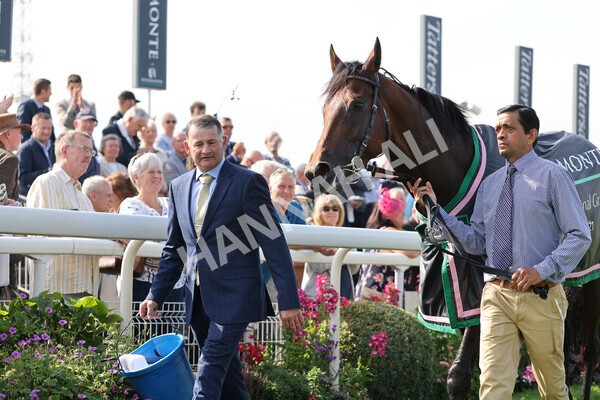 yr18082021r4-178 - Race 4 3.35pm Juddmonte International Stakes (British Champion Series race)