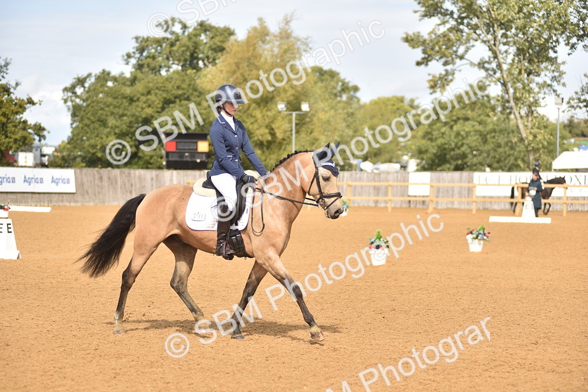SBM_42299 - D22 - Junior Championship Intro 3