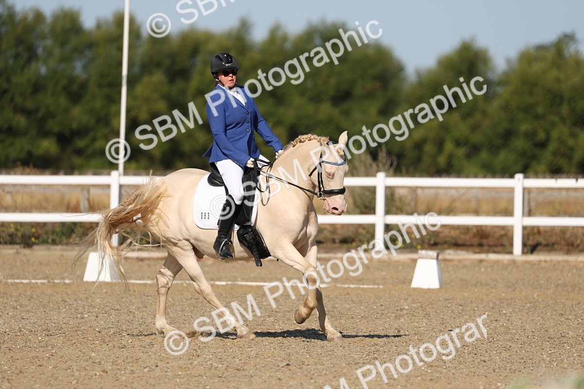 SBM_012700 - Class 1 - P5 Bronze 9.00.10.12
