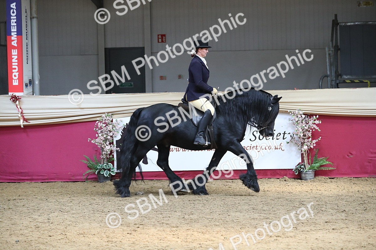 SBM_16317 - Class 502 M&M Ridden Supreme Final