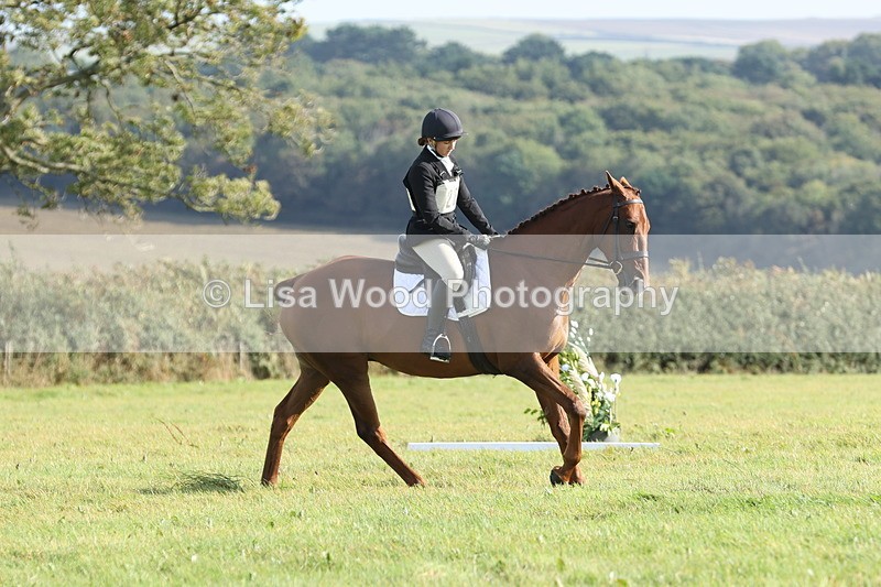 JPP_8041 - Class 2A: Trekenning Open: Dressage