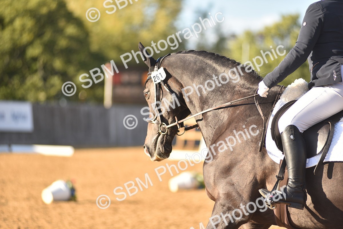SBM_13316 - D19 - Small Tour Championship Elementary 1