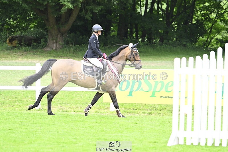 250613A-135836-02430 - Cls 3 Snr Foxhunter