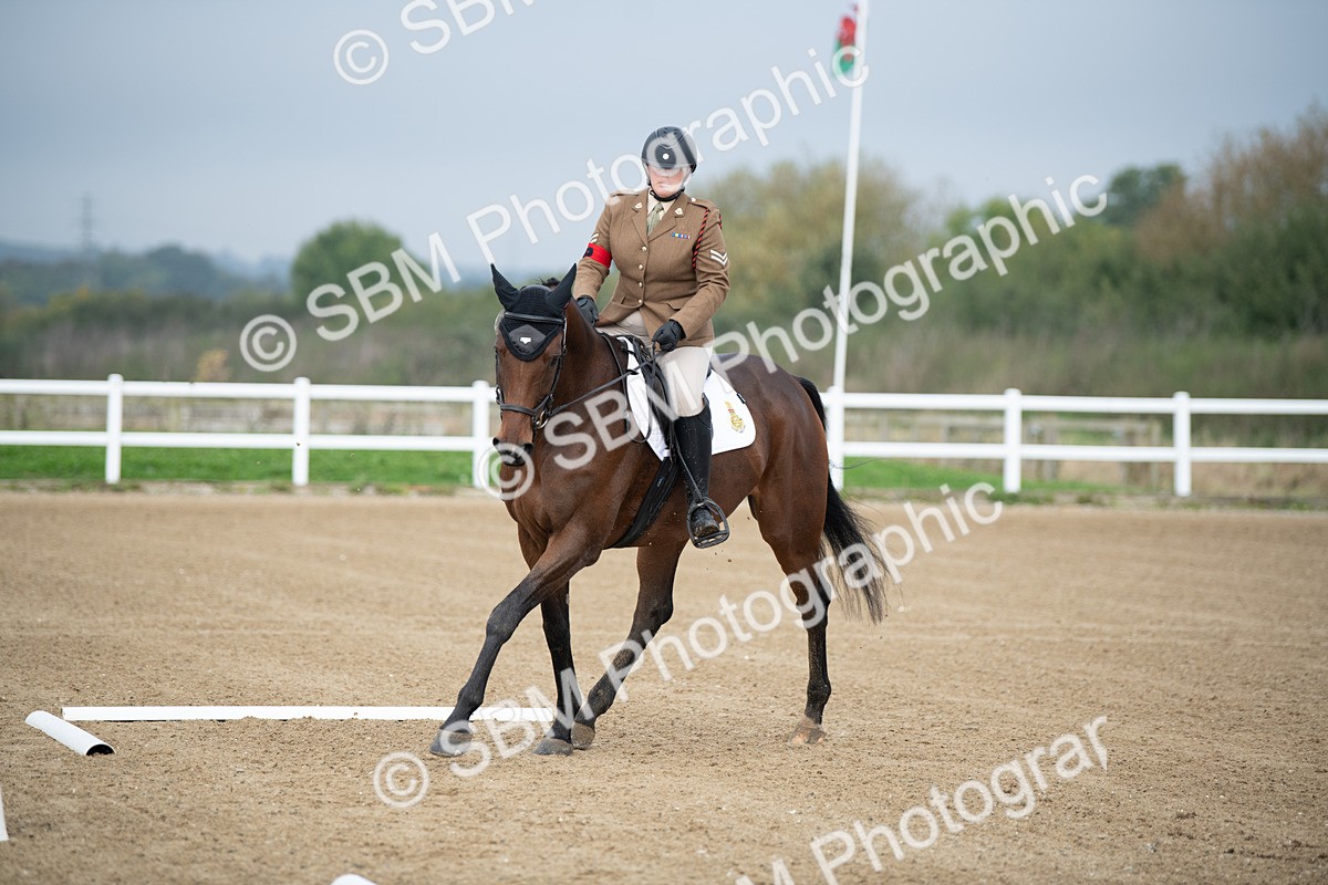 SBM_003543 - Introductory Test 3