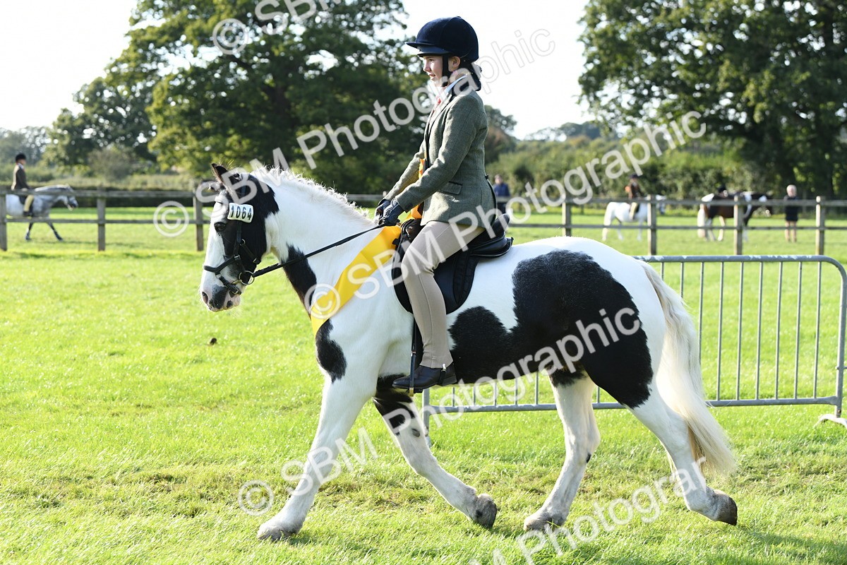 SBM_52078 - S21 - Novice & Newcomers 1st Ridden Pony