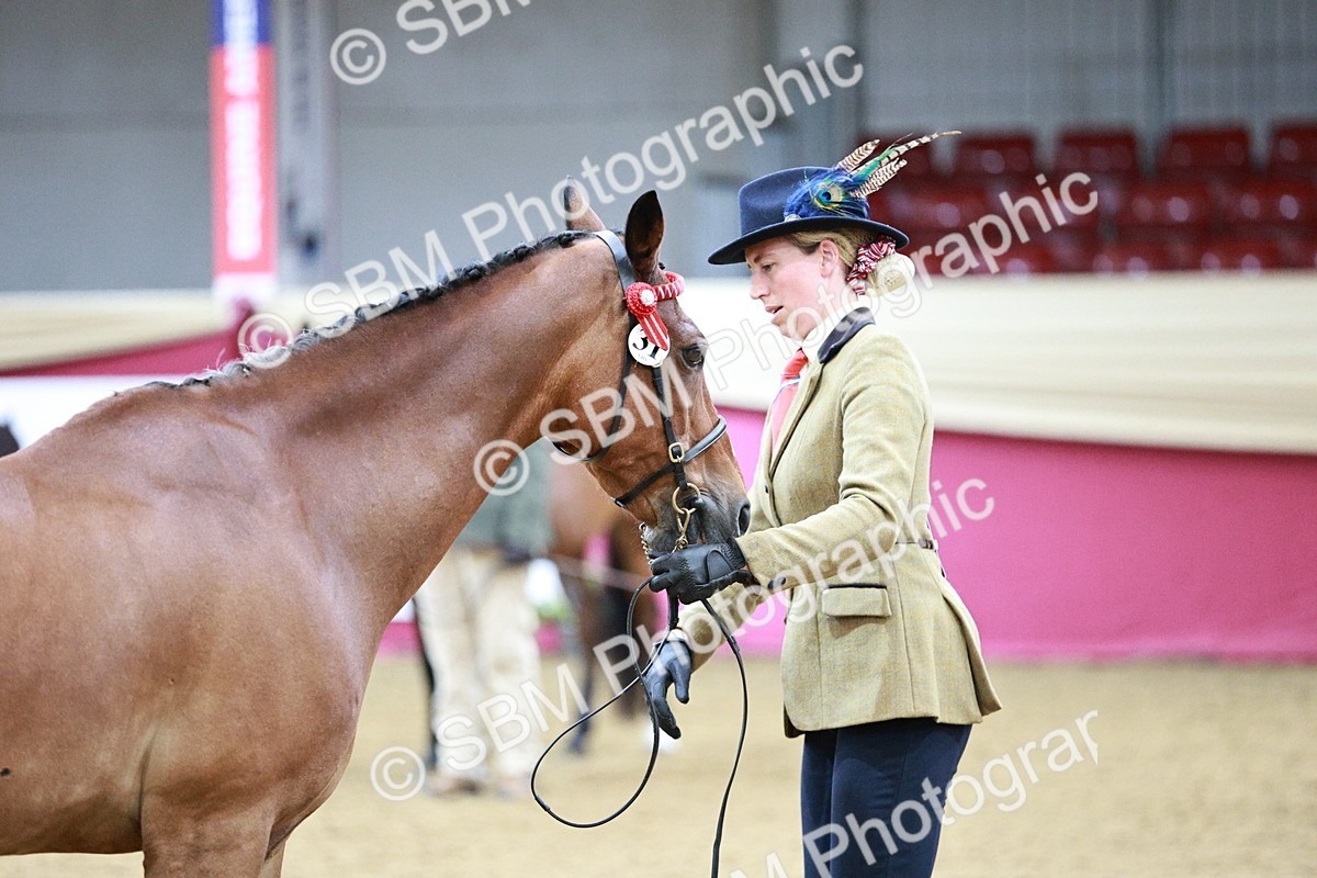 SBM_00237 - Class 1A - Area IH Diamond