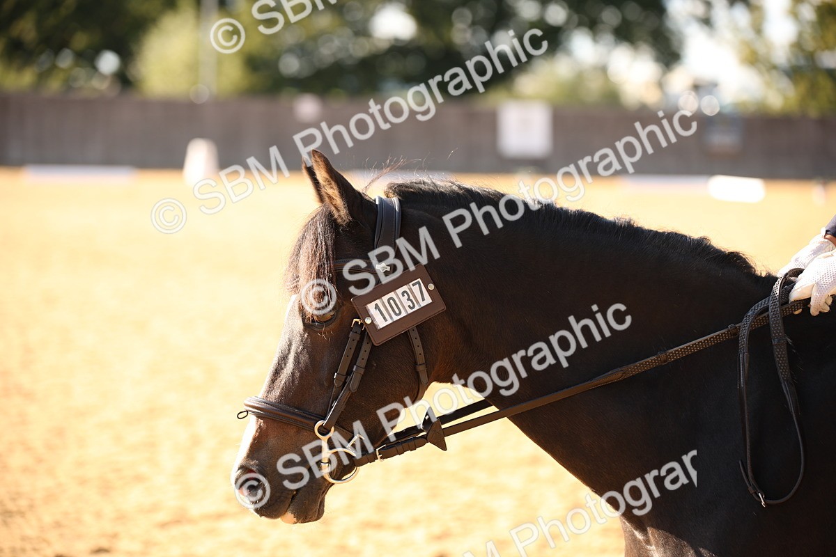 SBM_28297 - D11 - Small Tour Championship - Prelim 13