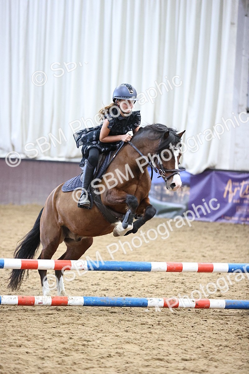 SBM_001217 - Class 3 - Horse & Hound 60cm