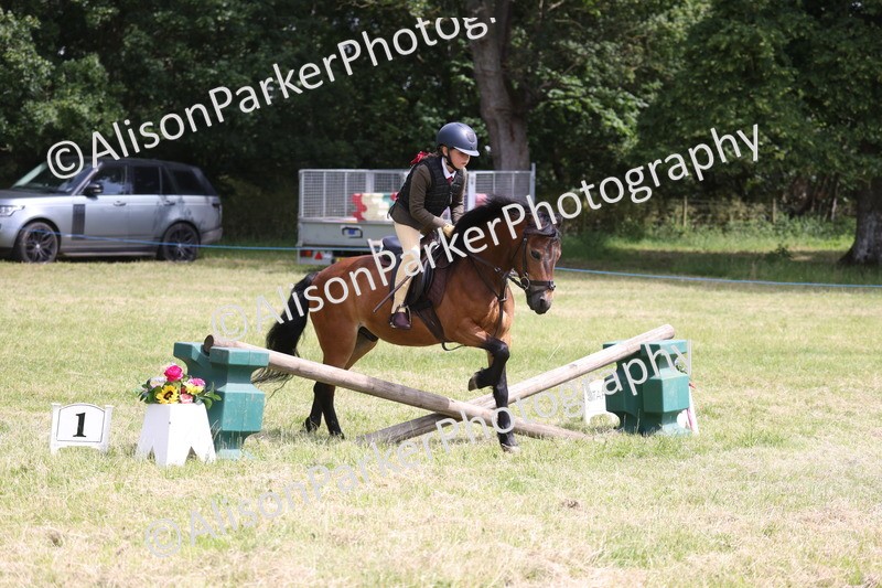 20260614-1812 - Class 21 - Novice Working Hunter Pony