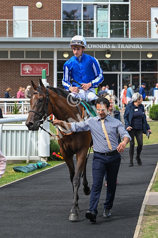 080825-Race 2-Daneh Of Dandy-2021 - Race 2