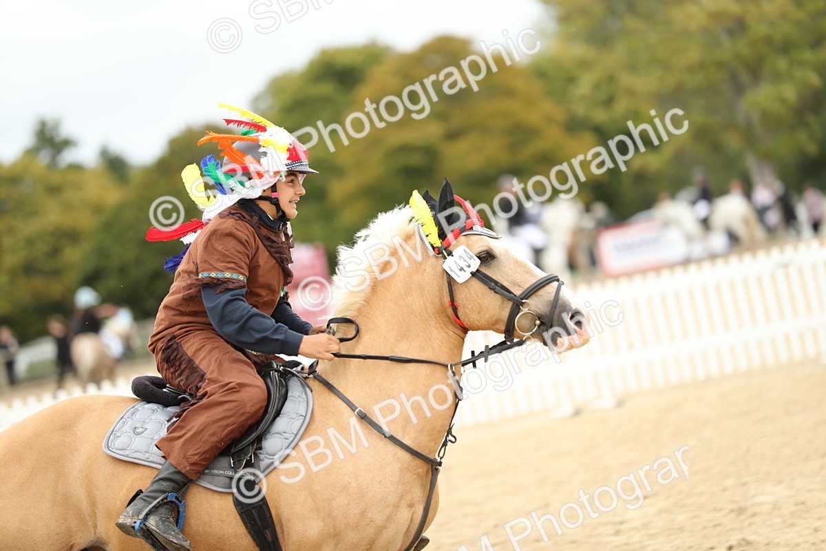 SBM_65715 - J48 - Pairs Jumping Open 70cm & 85cm