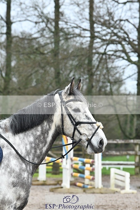 240218-120503-02287 - SJ 10 to 11