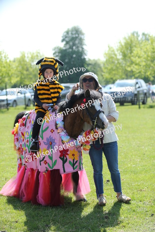 20250427-1877 - Class 5 - Fancy Dress