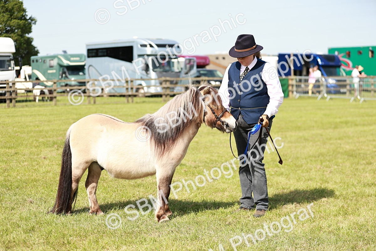 SBM_01793 - Class 14-23 - Mountain & Moorland In Hand Non Welsh