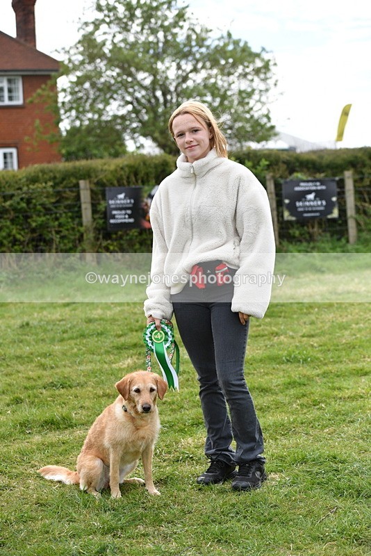 WJ5_9413 - Class 1 Best Cross Breed / Heniz 57