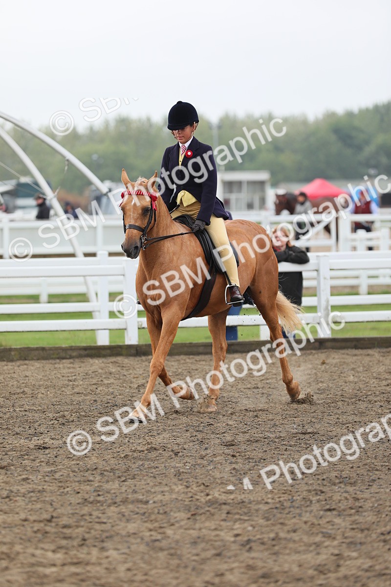 SBM_22334 - Class 807 - Young Rider 11 to 16 Yrs