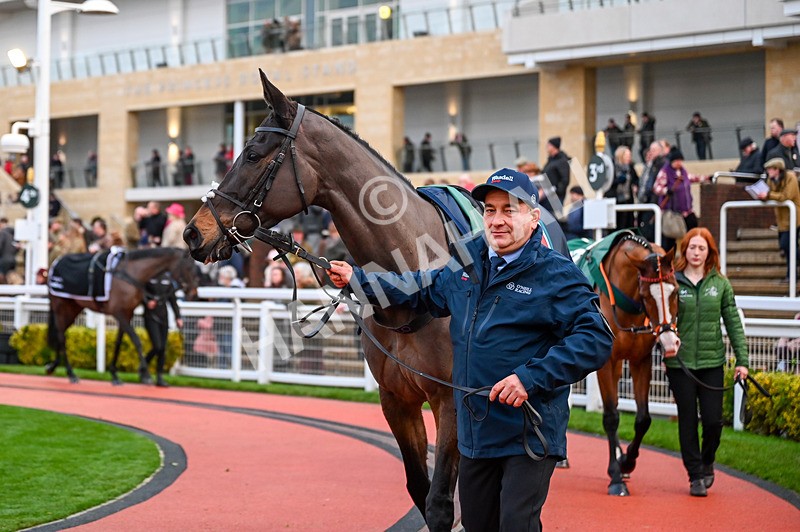 141224-Race 7-Holly-0981 - Race 7