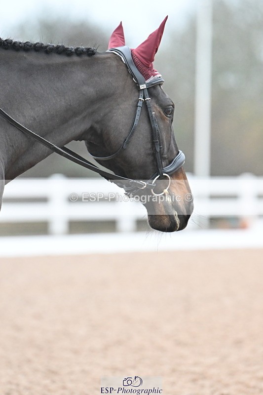 240217A-091112-00318 - 121-Jane.Dyer-Maen.Valley