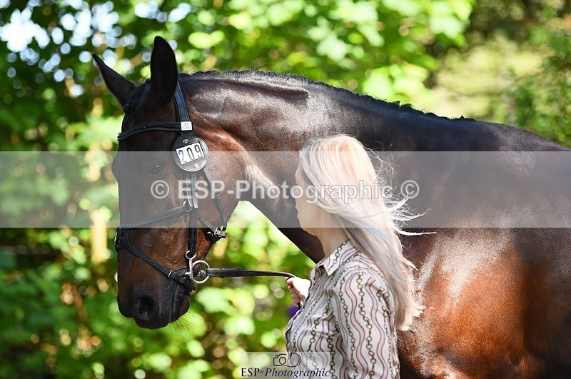 230524-160210-00636 - 209-MONBEG_EBONY-Molly_Fletcher-WEDTrotUp+DR