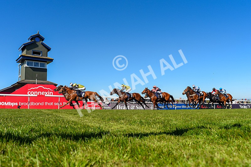230426-Race 4-A War Eagle-1230 - Race 4