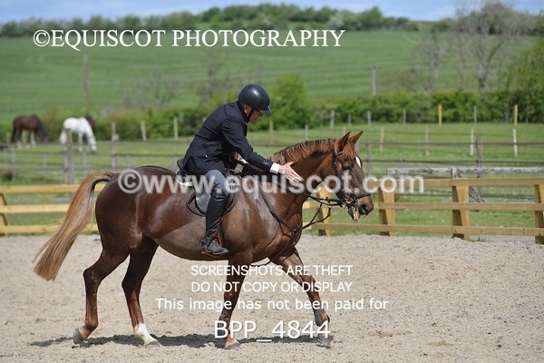 BPP_4844 - CLASS 14  SAT Senior British Novice/ 90cm Open