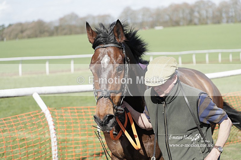 PtP 100423 935 - Old Berkshire Point-to-Point Lockinge 10/04/23