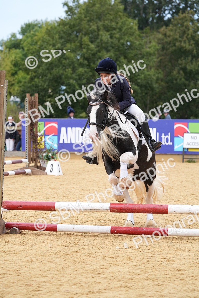 SBM_71722 - J3 - Mini Tour Junior Pony 40cm Championship