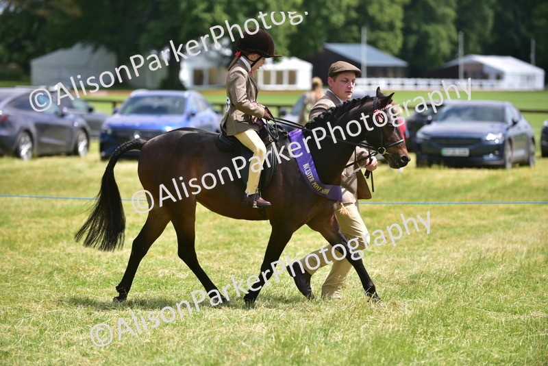 20260614-1428 - Class 11b - Lead Rein Pony (Plaited)