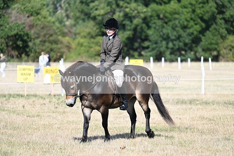 WJ7_2972 - Class 8 Ridden Tack & Turnout