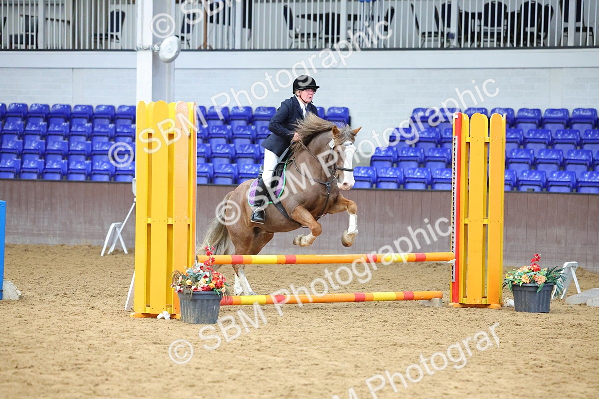 SBM_000389 - Class 5 - 50cm - BRC Championships