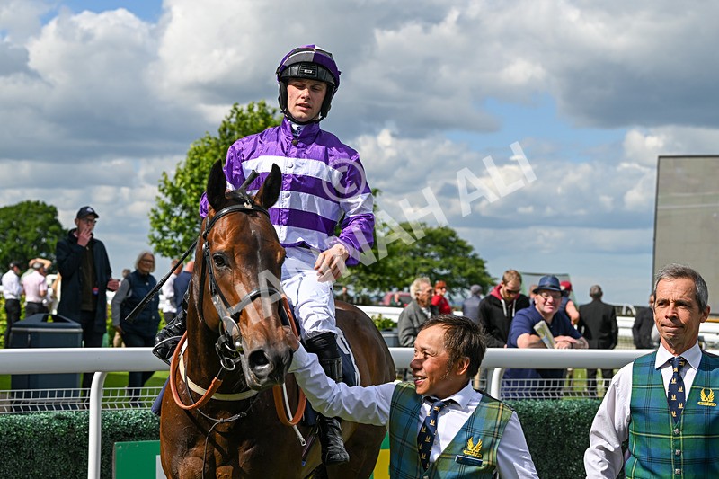 080624-Race 5-Ludos Landing-1514 - Race 5