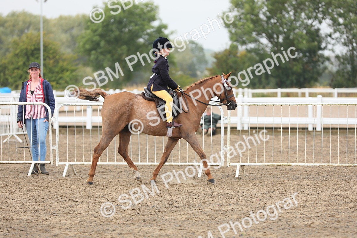 SBM_21716 - Class 806 - Young ridder 10 Yr & Under