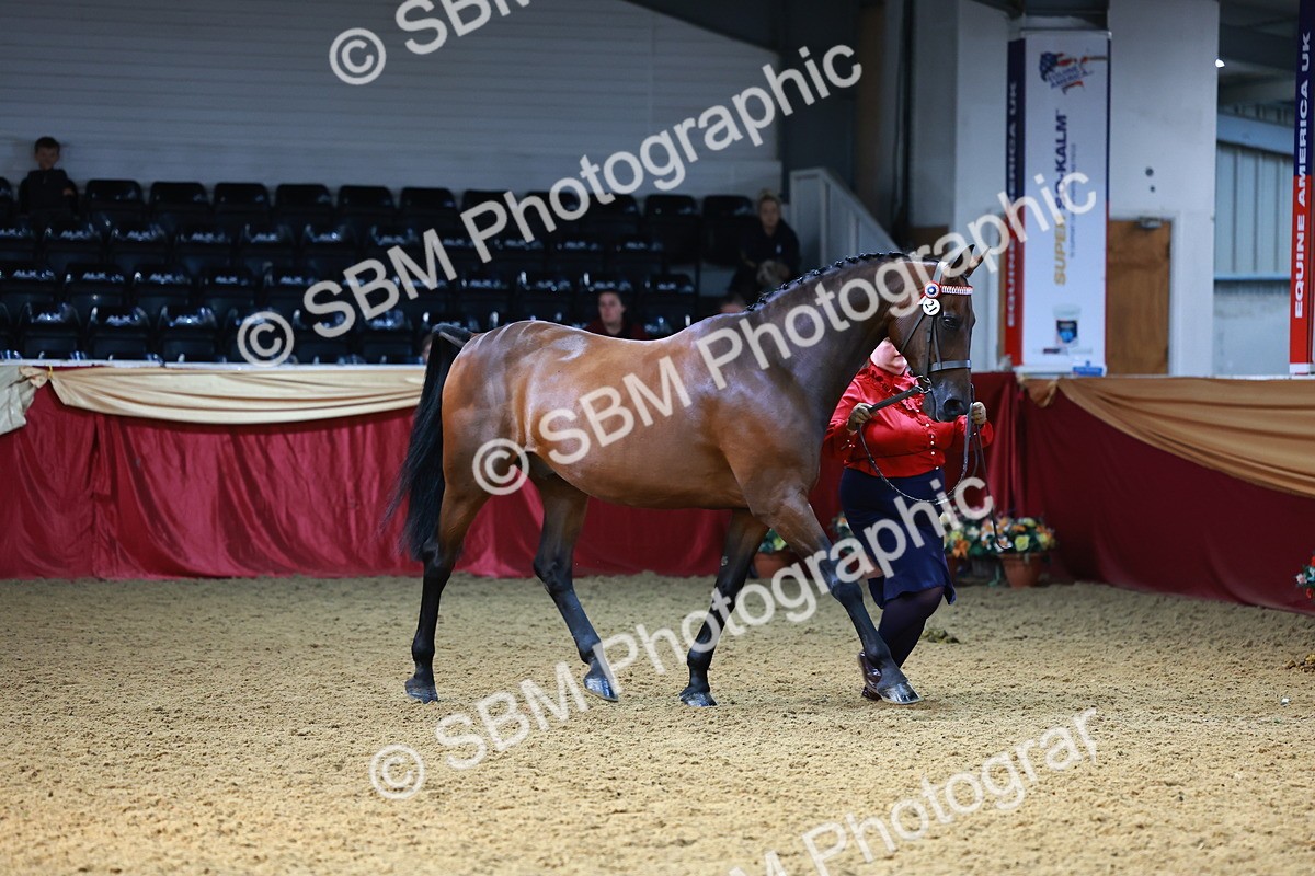 SBM_22332 - Class 902 - Supreme Final - IH Diamond