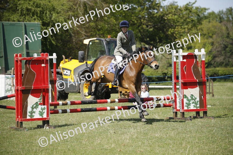 20250427-2275 - Class 13 - Novice Jumping 60cm