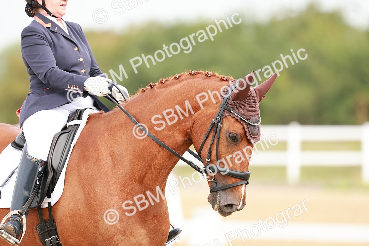 SBM_009030 - Class 12 - Elementary 6 - 9.30-10.34