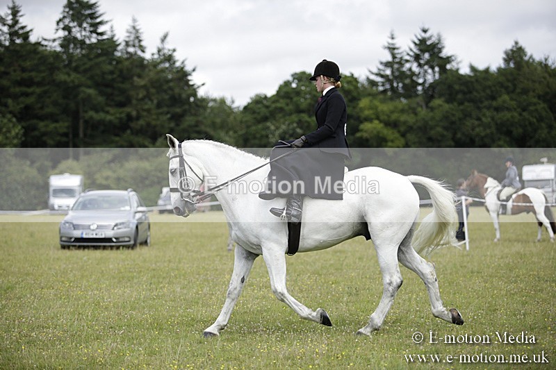 BVR160717-1957 - Side Saddle Classes 16/07/17