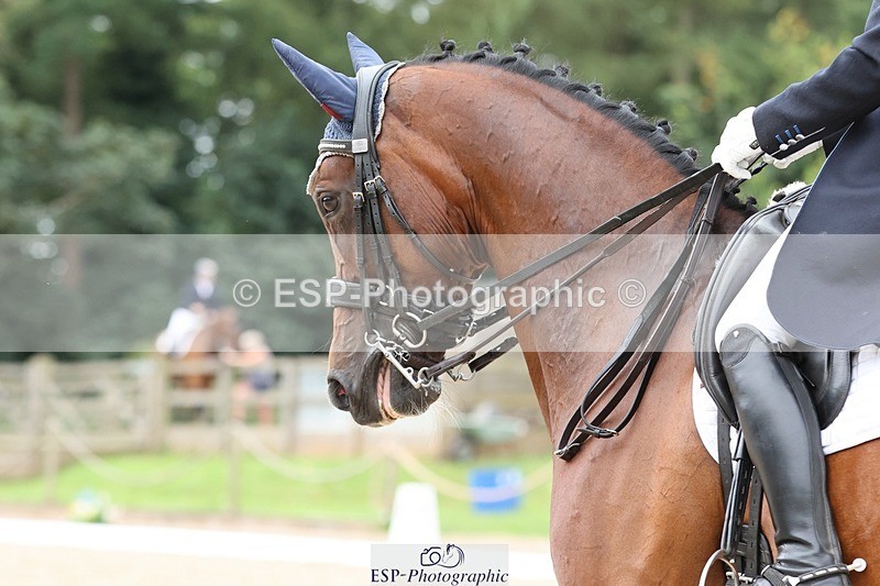 240810-151250-03930 - 231-Louise.Hutchinson-Donnarella