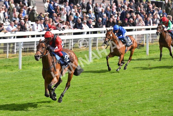 yr11052022r4-35 - Race 4 3.35pm Tattersalls Musidora Stakes