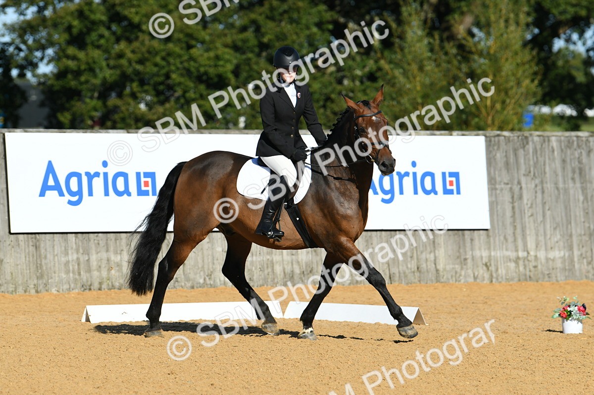 SBM_16199 - D4 - Small Tour Championship - Intro B