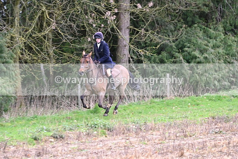 WJ6_9530 - Line Four