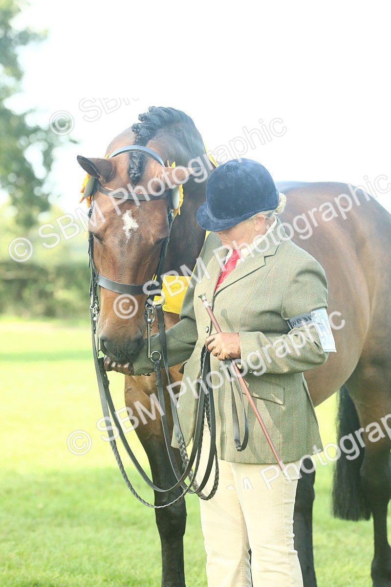 SBM_61139 - Starter Supreme Championship